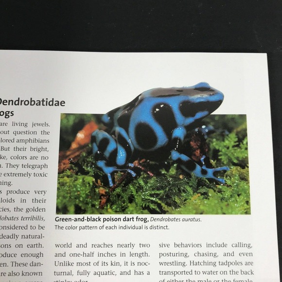 Frogs: A Chorus of Colors; Beautiful Photos & Illustrations; Excellent! 160 pgs - Picture 4 of 9